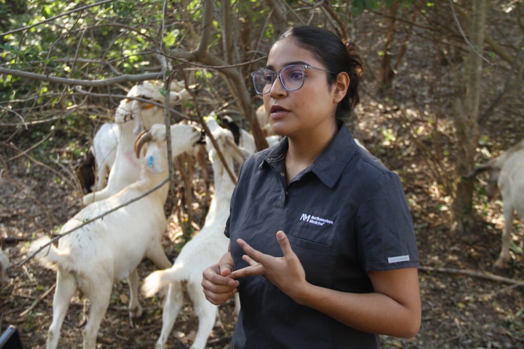 Analiza UAT Innovaciones De Mejoramiento Para La Producción Caprina