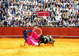 Prohíben  corridas de toros en Colombia