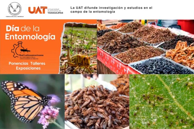 Presentan universitarios avances en las investigaciones en el campo de la entomología