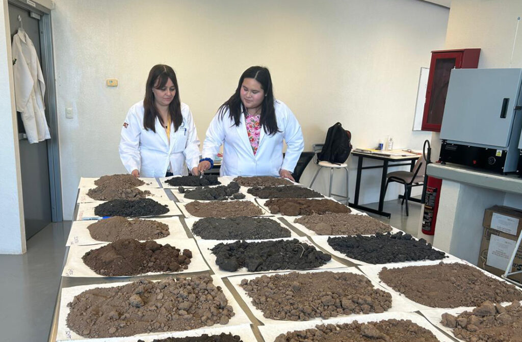 Analiza estudiante de la UAT la presencia de metales pesados en suelos de cultivo citrícola