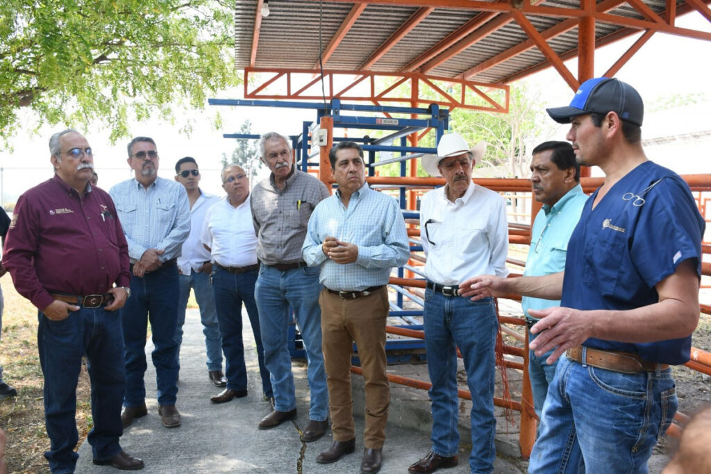 Reactivarán Centro de Mejoramiento Genético para fortalecer la ganadería en Tamaulipas