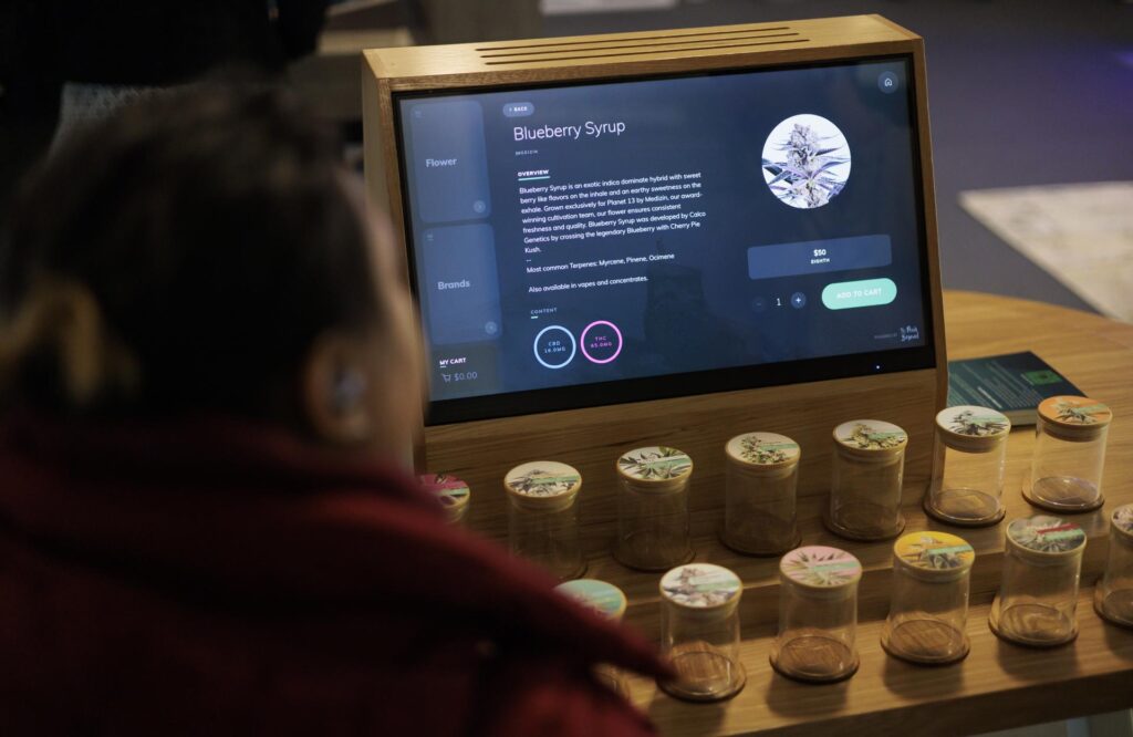 Nueva York lanza la Biblioteca de Educación sobre el Cannabis